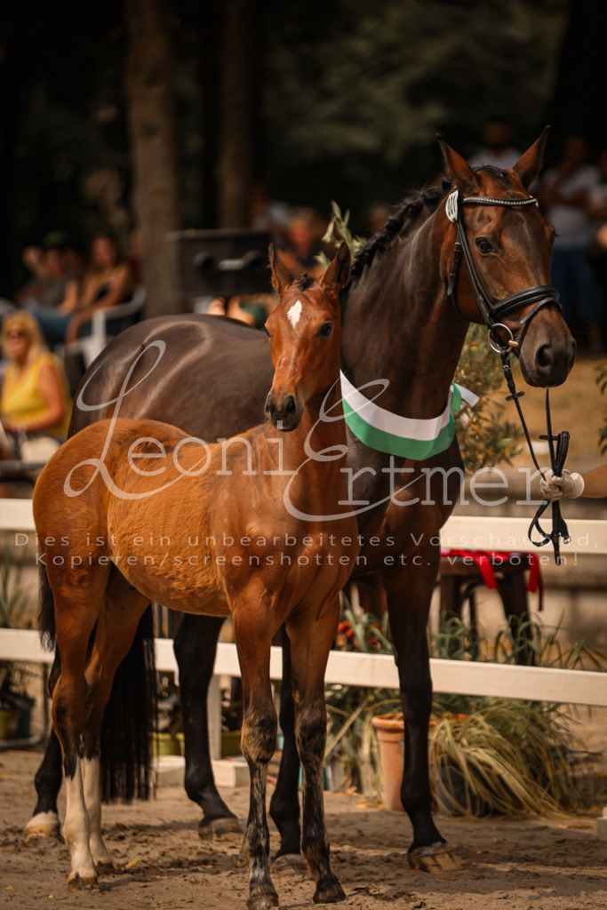 SaPA00020 | Leoni Ertmer Photography - Realisiert mit Pictrs.com