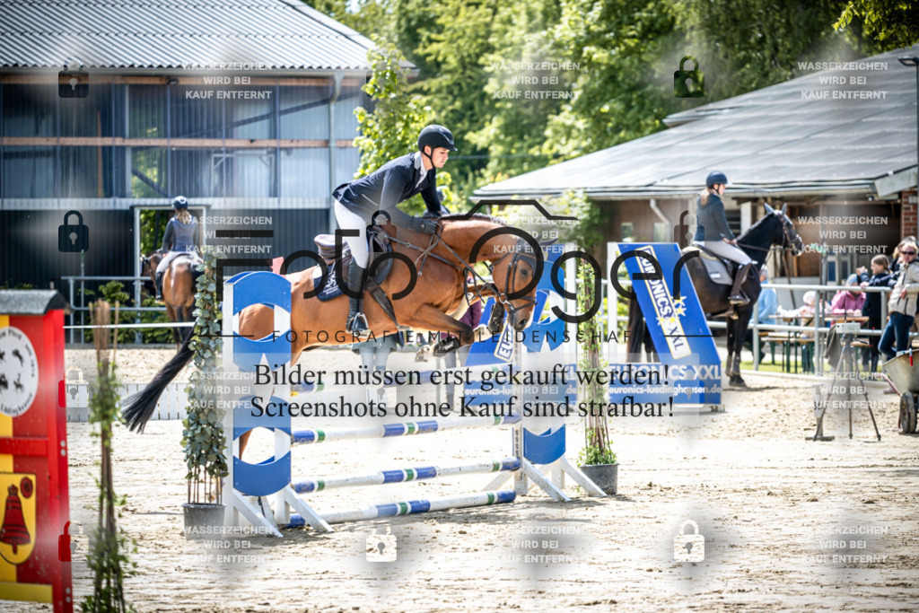DOS_0255 | Reitturnier Lüdinghausen - Realisiert mit Pictrs.com