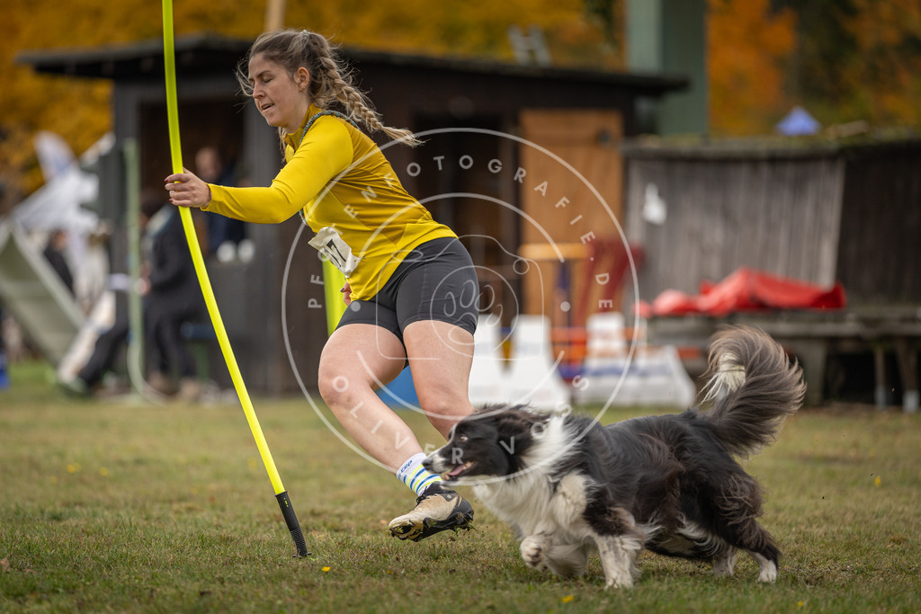 Pfotenfotografie_DV3A6696 | Hundefotografie, Tierfotograf, Pfotenfotografie, Fotoshooting Hund, Hunde Portrait, Hundesport, Hundeportraits, Heideshooting, Hunde, Sportfotograf, Hundefotograf, Turnierhundsport, THS,  - Realisiert mit Pictrs.com