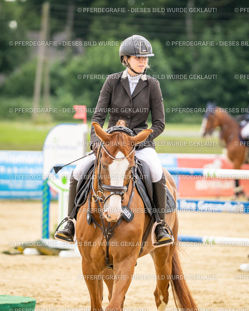 DSC06276 | Pferdegrafie