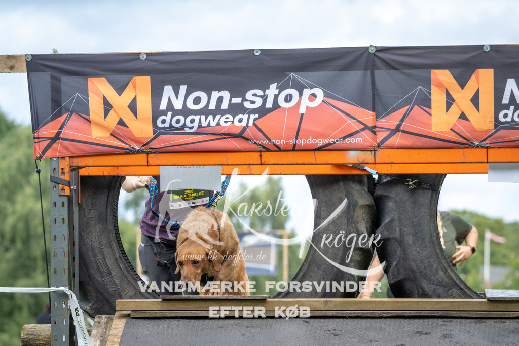 1232_ZZ93933 | kk-dogfotos