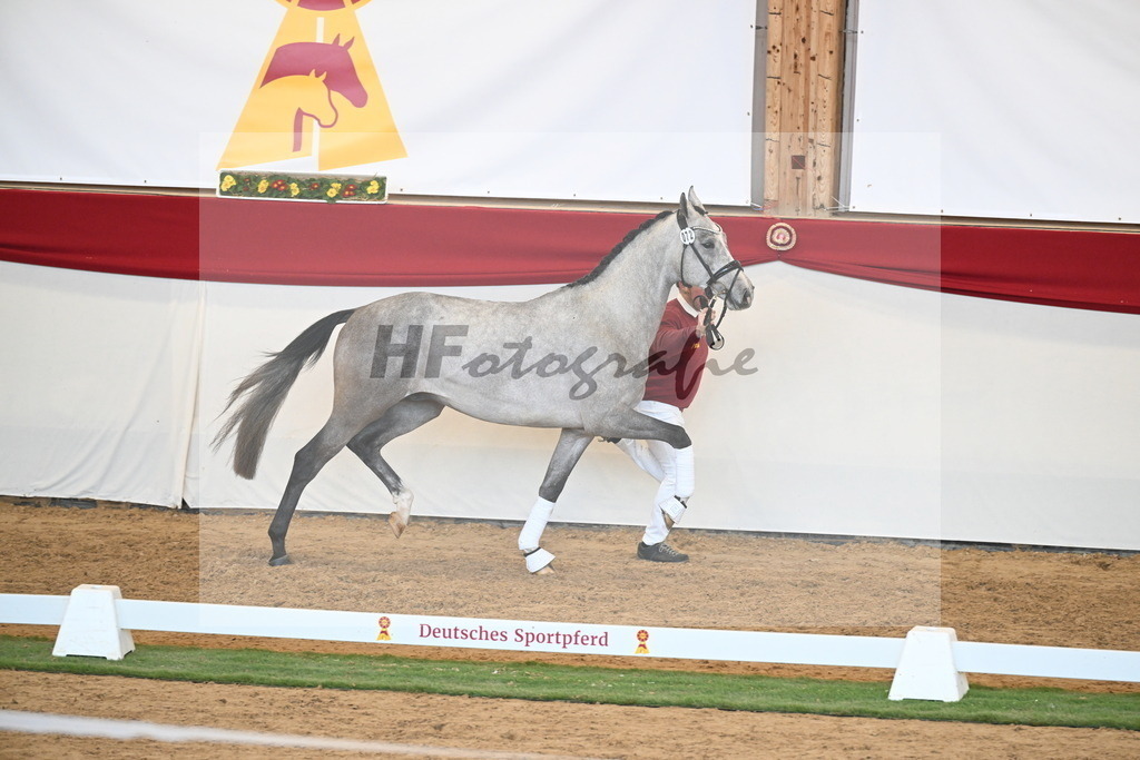 Kat.-Nr. 72 v. Johnson_Lehner_2250608 | hf-fotografie - Realisiert mit Pictrs.com