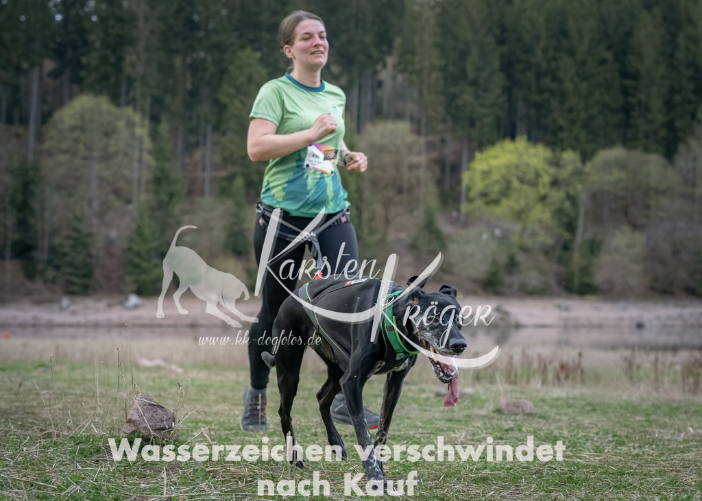 1848_ZZ90249-Bearbeitet-Bearbeitet | kk-dogfotos
