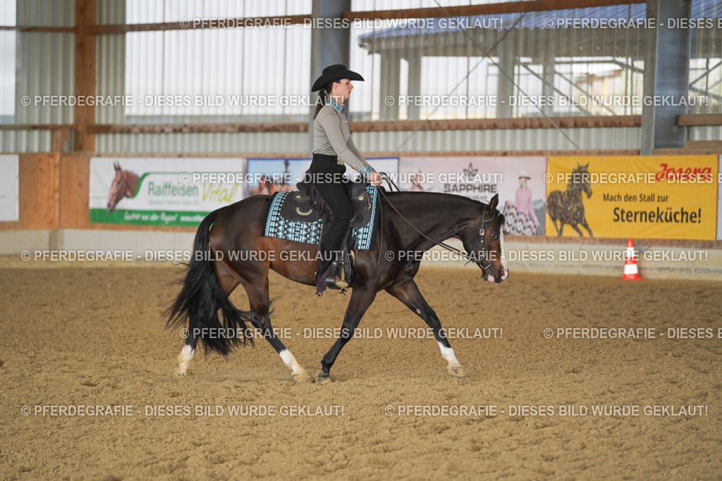 DSC09917 | Pferdegrafie