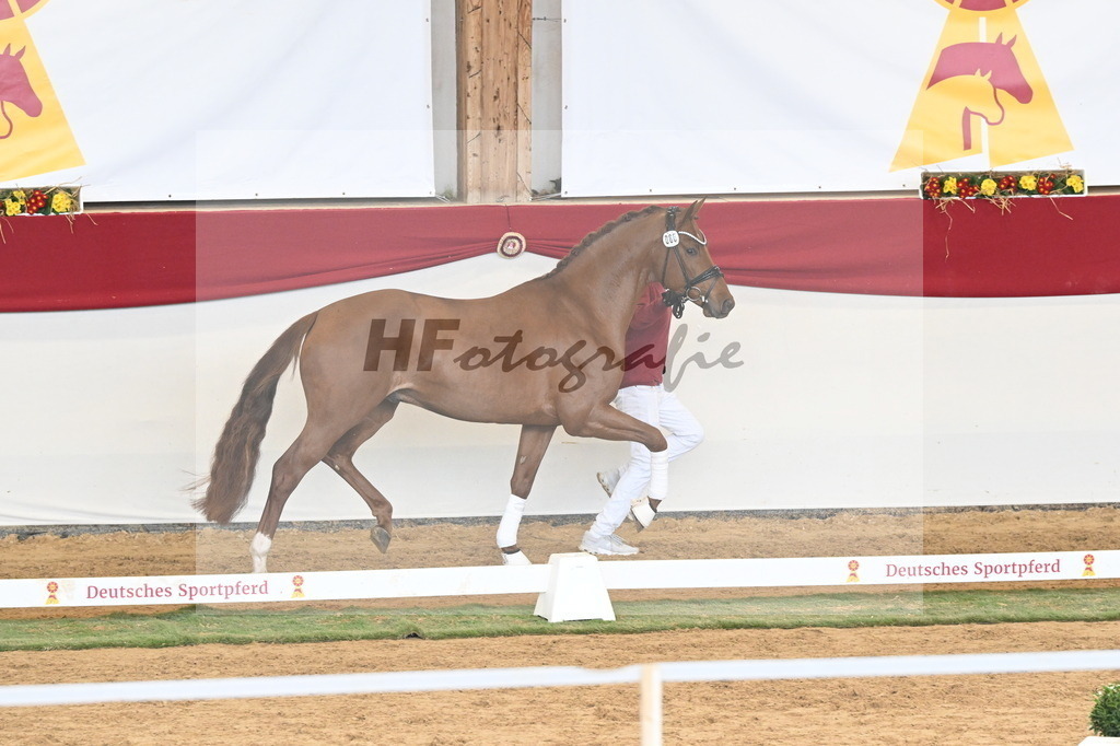 Kat.-Nr. 86 v. Vitalis_Pfefferle_3261202 | hf-fotografie - Realizzato con Pictrs.com