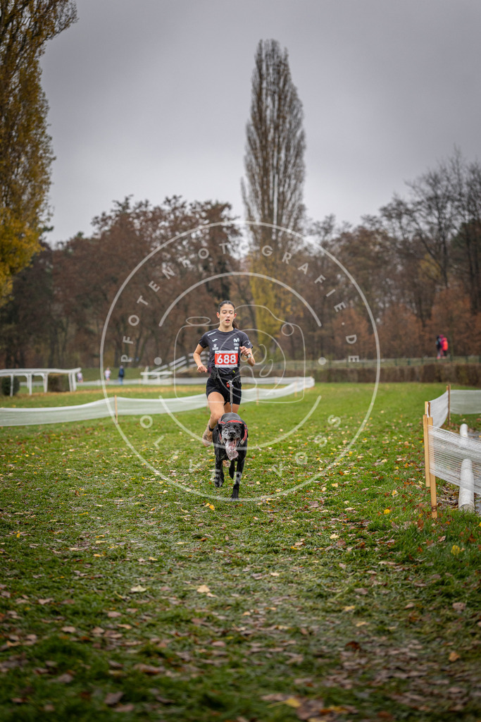 CaniXpix_DV3A9074 | Hundefotografie, Tierfotograf, Pfotenfotografie, Fotoshooting Hund, Hunde Portrait, Hundesport, Hundeportraits, Heideshooting, Hunde, Sportfotograf, Hundefotograf, Turnierhundsport, THS,  - Realisiert mit Pictrs.com