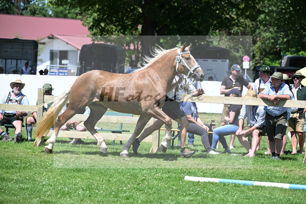 Kat-Nr. 52 Halina v. Vilstal_Hoeck_18250920 | hf-fotografie - Realizzato con Pictrs.com