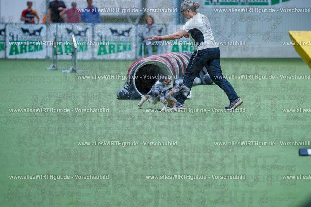 @allesWIRTHgut_Tierfotografie - www.allesWIRTHgut.de - 2604251443-7R505402 | Professionelle Tierfotografie in Mönchengladbach von Daniel Wirth (allesWIRTHgut). Liebevolle & natürliche Bilder von Hunden & Katzen für unvergessliche Erinnerungen.