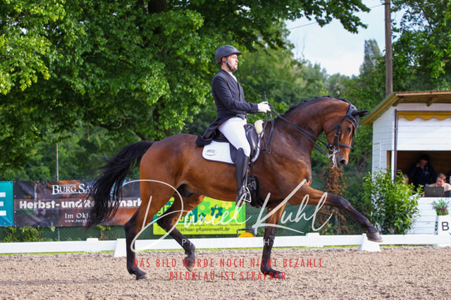 DKP41754 | Deine Turnierfotos vom Reitturnier online kaufen: Dressur, Springen & Siegerehrung. Professionelle Pferdefotografie aus dem Rheinland – als Download & Print.Alternative: Turnierfotograf für den Pferdesport: Finde deine Fotos von Dressur- und Springturnier