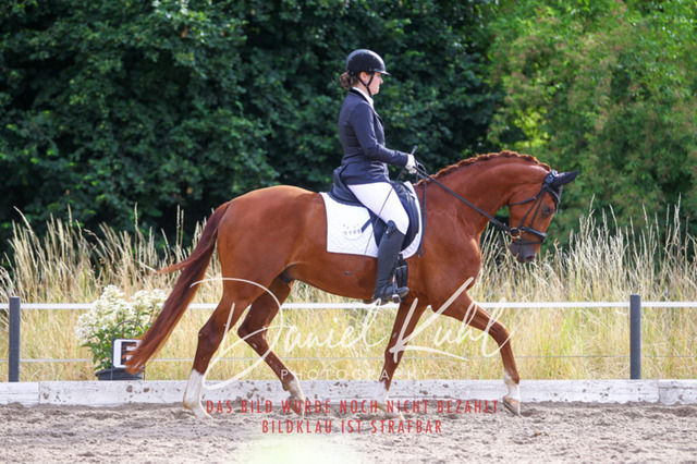 DKP45706 | Turniersportfotografie; Pferdefotografie; Dressurfotografie