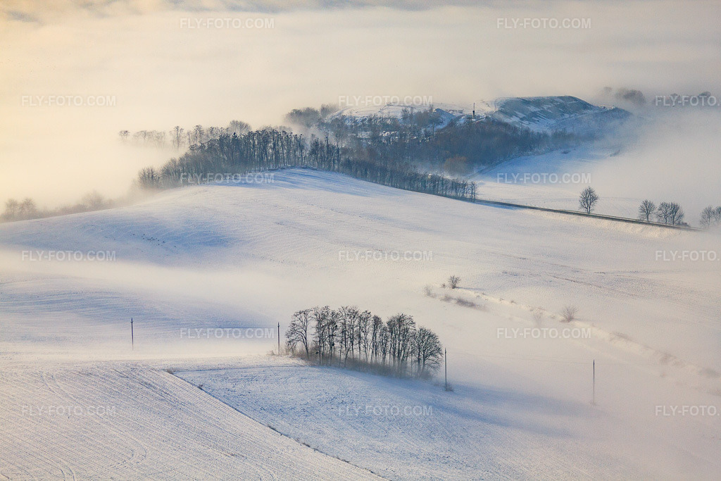 Aerial view: Group of trees in a snow-covered field. In winter under clouds. in Wintzenbach in the state Bas-Rhin, France.Photo: IMG_36194.jpg taken on 01/02/2011 by Werner Riehm/FLY-FOTO.comResolution of the original: 4752 x 3168 px