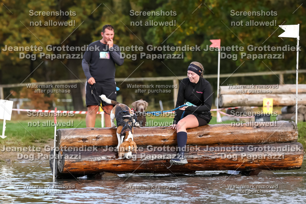 Dog Paparazzi - Strongdog 10-25-6982 | Dog Paparazzi Jeanette Grottendiek Fotografie & Videografie - Realisiert mit Pictrs.com