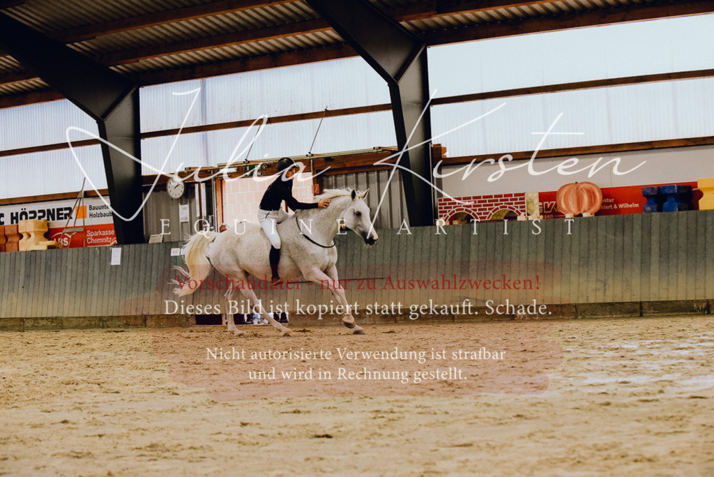 DSC_6989 | Pferde- und Turnierfotografie in Westsachsen. Pferdeportraits, Auftragszeichnungen und intuitive Kunst.