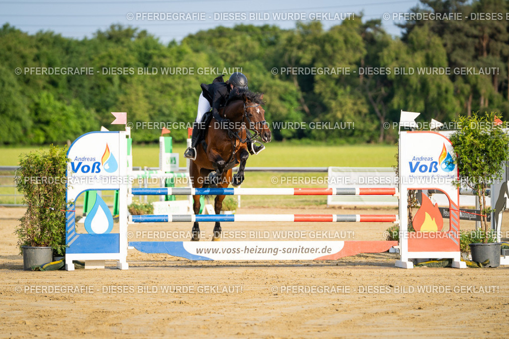 DSC02030 | Pferdegrafie