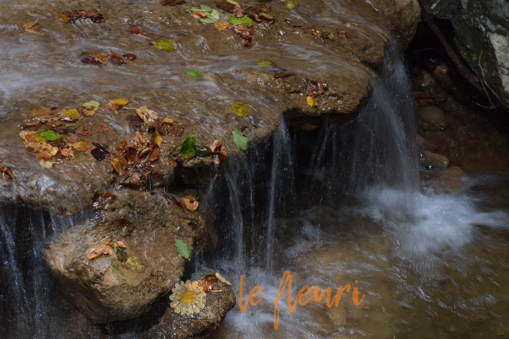 Verenaschlucht_Solothurn_110921 (152) | Dies ist der Shop von Florian Blum - le fleuri. Langenthal, Bern, Schweiz. Sie können hier meine oder ihre eigenen Fotos als Fotoprodukte kaufen. Tassen, Schlüsselanhänger, Taschen etc. können Sie hier gestalten.  - Realisiert mit Pictrs.com