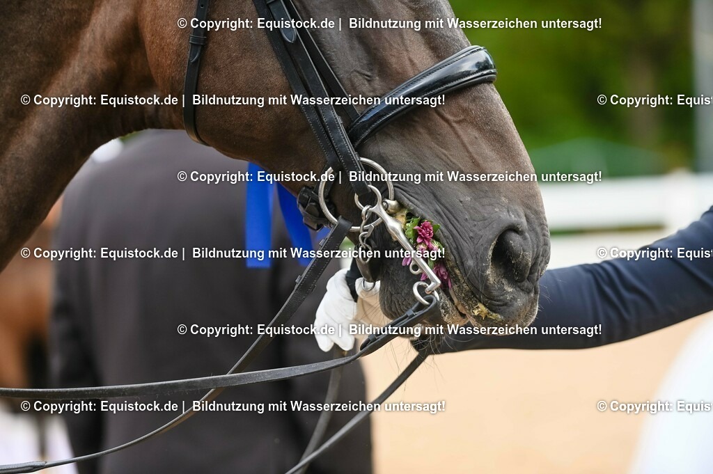 20230716_01_Dressurprüfung Kl.M_0767 | equistock