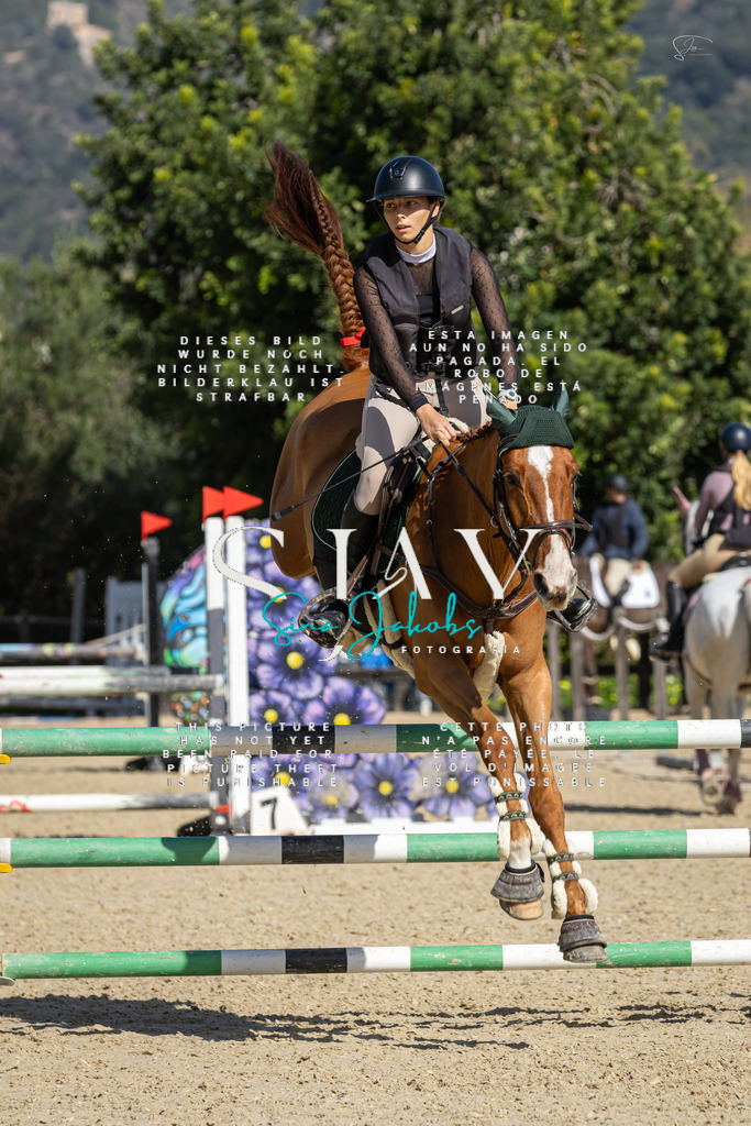 IMG_6528 | s-jay-photography - Realisiert mit Pictrs.com