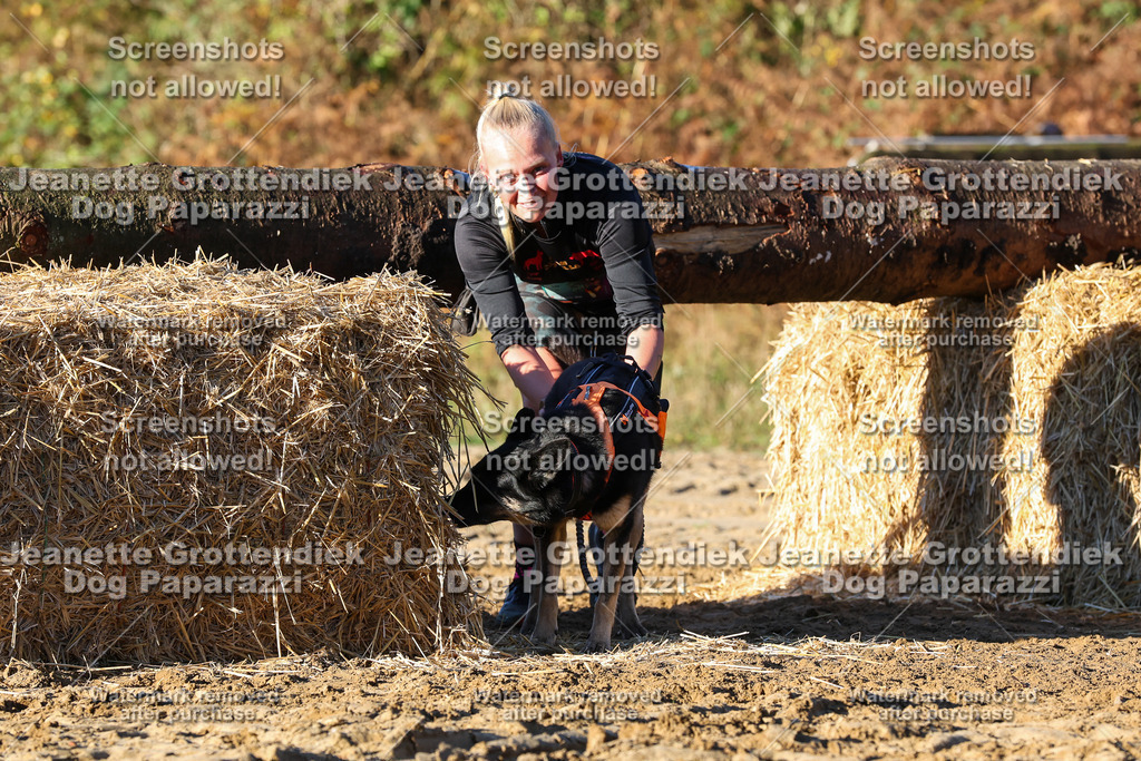 Dog Paparazzi - Strongdog 10-25-1146 | Dog Paparazzi Jeanette Grottendiek Fotografie & Videografie - Realisiert mit Pictrs.com