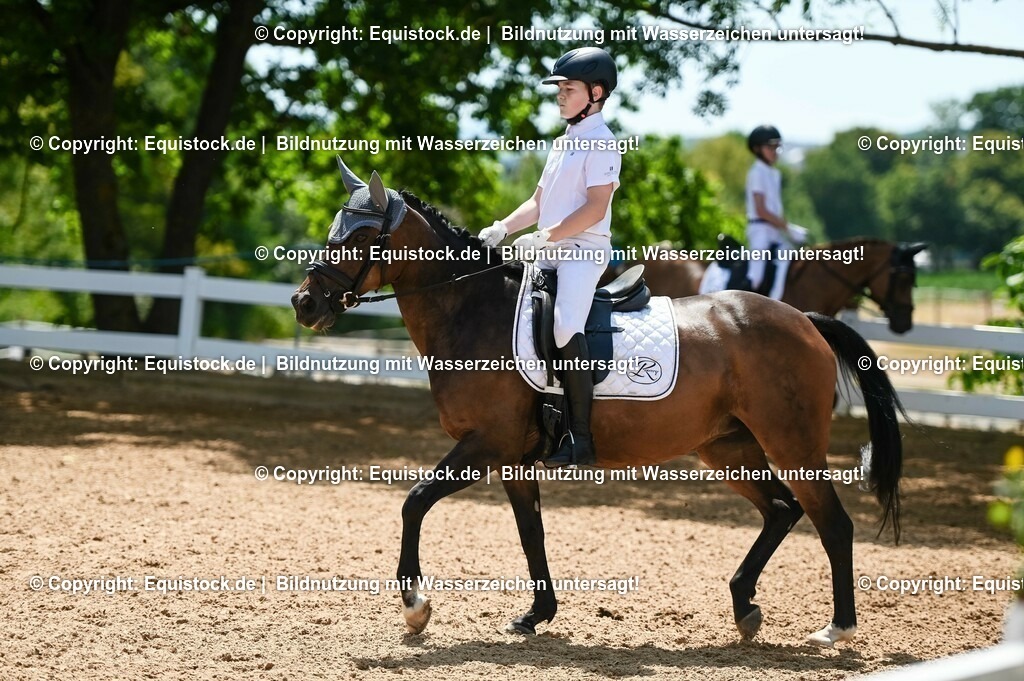 20230715_09_Dressur-WB_0391 | equistock