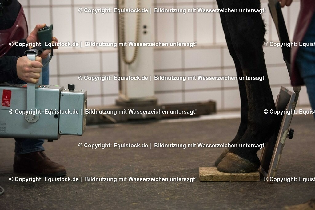 20170113_R__ntgen_0026 | Foto: Thomas Hartig