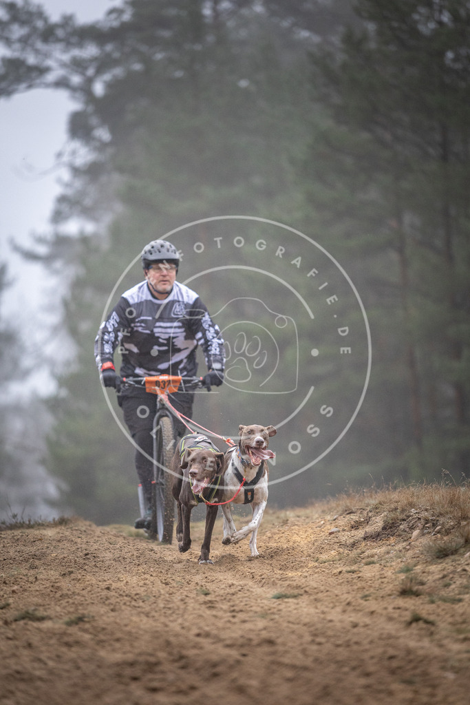 Pfotenfotografie_DV3A0841 | Hundefotografie, Tierfotograf, Pfotenfotografie, Fotoshooting Hund, Hunde Portrait, Hundesport, Hundeportraits, Heideshooting, Hunde, Sportfotograf, Hundefotograf, Turnierhundsport, THS,  - Realisiert mit Pictrs.com