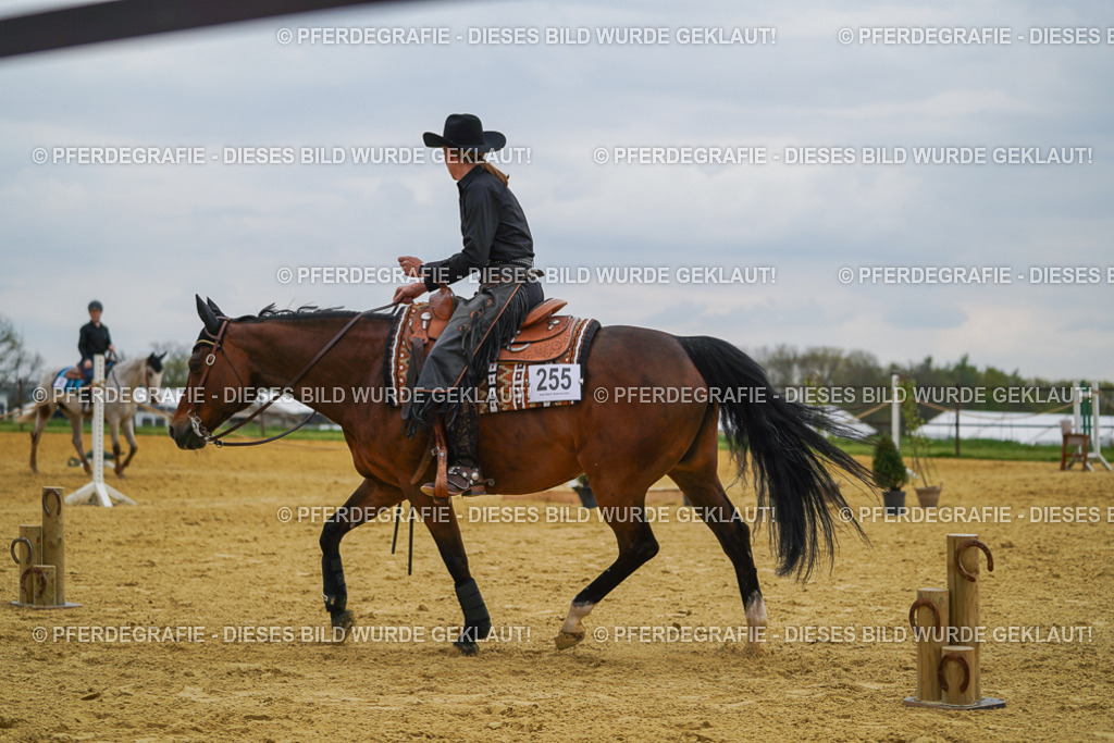 DSC07667 | Pferdegrafie