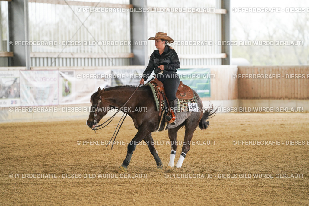 DSC07377 | Pferdegrafie