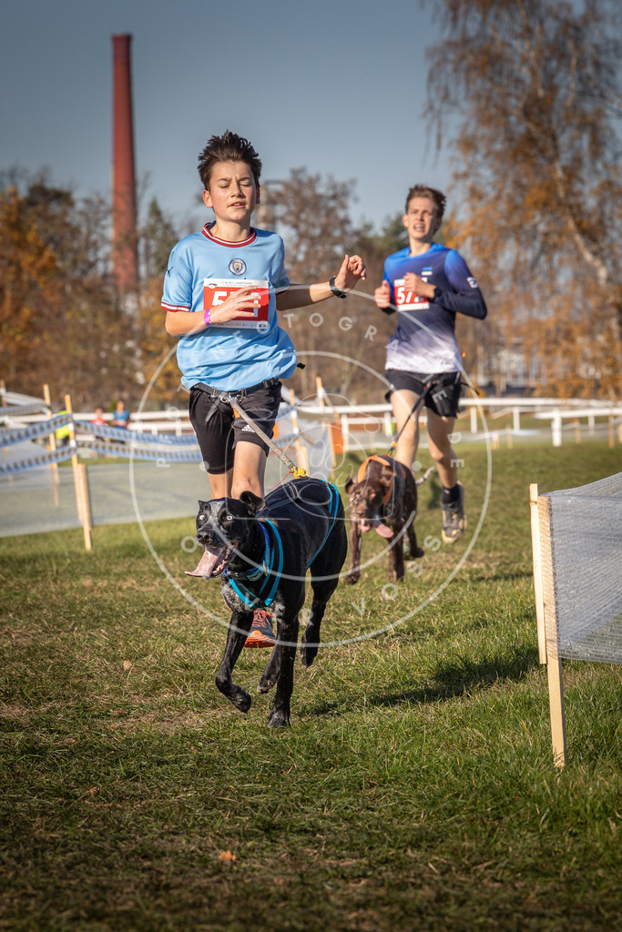 CaniXpix_0L8A8055 | Hundefotografie, Tierfotograf, Pfotenfotografie, Fotoshooting Hund, Hunde Portrait, Hundesport, Hundeportraits, Heideshooting, Hunde, Sportfotograf, Hundefotograf, Turnierhundsport, THS,  - Realisiert mit Pictrs.com
