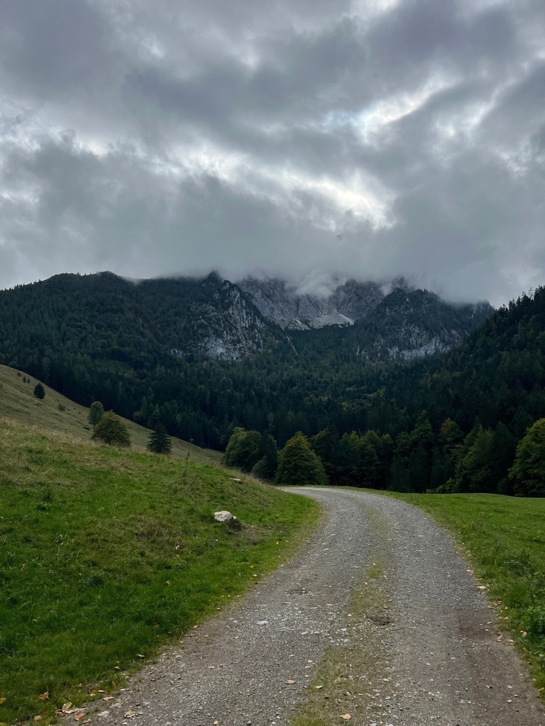 IMG_8645 | ace - Realisiert mit Pictrs.com