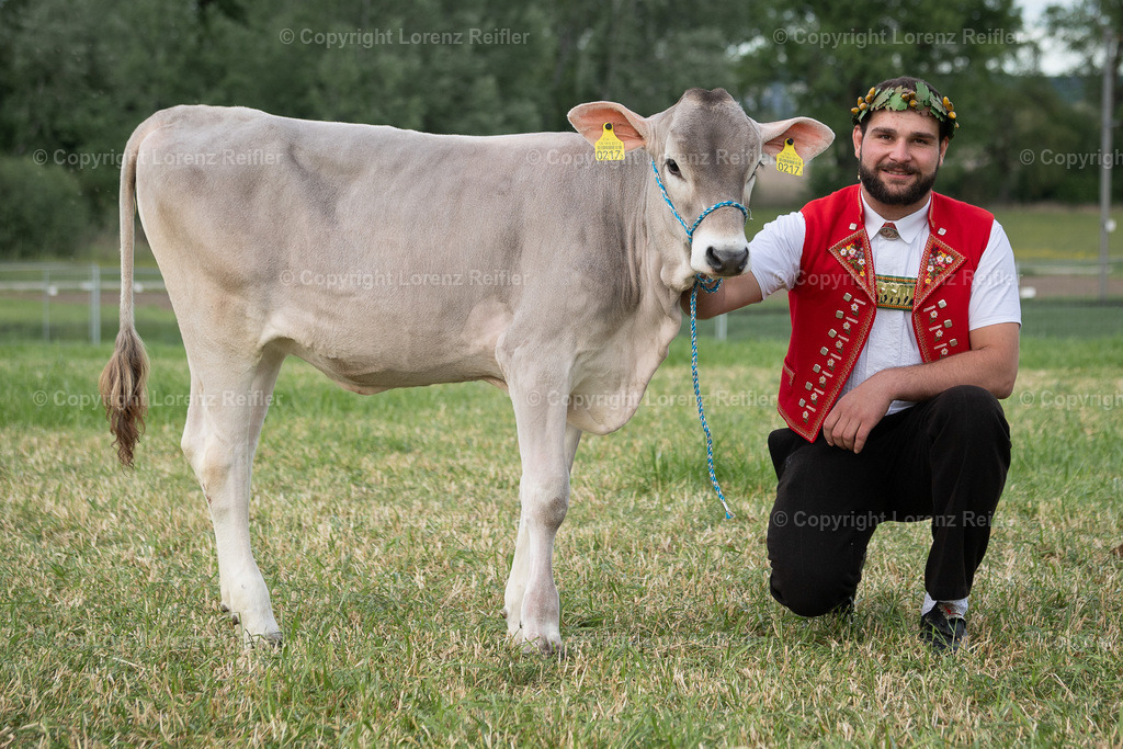 Schwingen -  Thurgauer Kantonales 2024 | Ermatingen, 5.5.24, Schwingen - Thurgauer Kantonales.