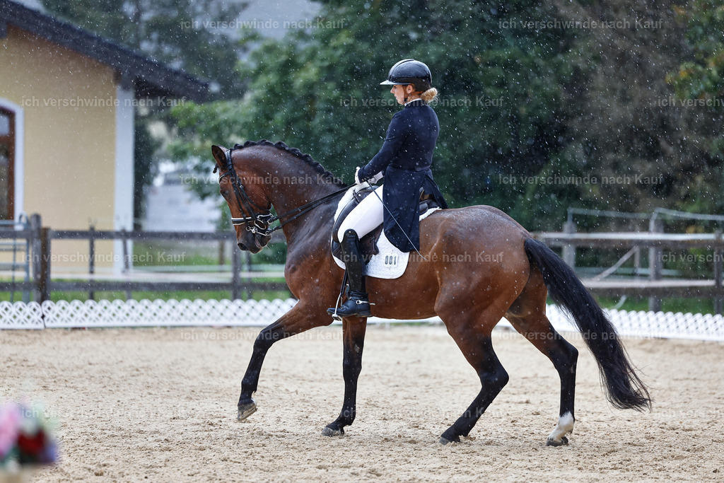 8_1-001-Klasse S_  -StoibPH-3967 | working equitationturnier fotograf videograf stoibphotography marixx film working equitation deutschland reitsport turnierfotografie eventfotografie equestrian events