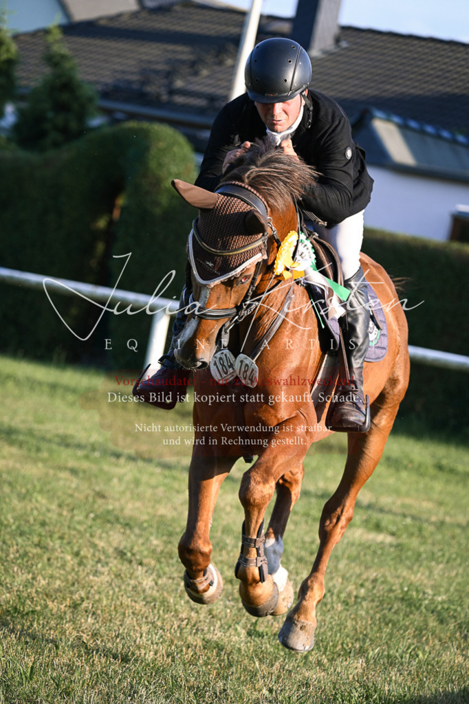 DSC_1968 | Pferde- und Turnierfotografie in Westsachsen. Pferdeportraits, Auftragszeichnungen und intuitive Kunst.