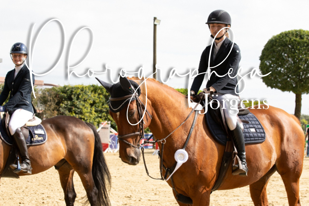 IMG_6638 | photographesa-joergens - Realisiert mit Pictrs.com