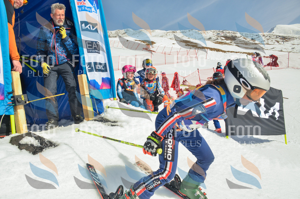 _ELE5198 | holidayphoto