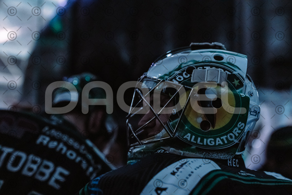 Alligators_vs_Toelz_18_11_2025-15 | Höchstadt Alligators Fotogalerie: Eishockey-Action aus Franken. Professionelle Spielfotos, Portraits & Stadionbilder zum Download. Jetzt entdecken! - Realisiert mit Pictrs.com