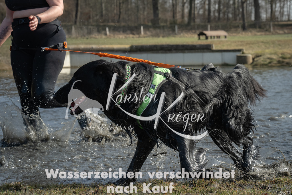 1257_ZZ93315 | kk-dogfotos