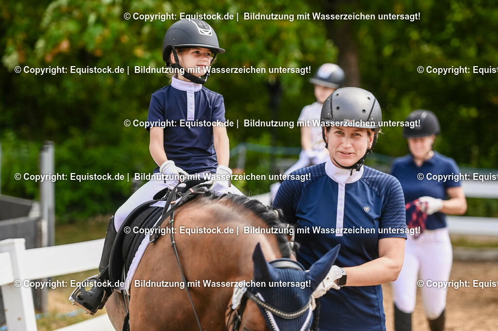 20230716_11_Führzügel-WB_0171 | equistock