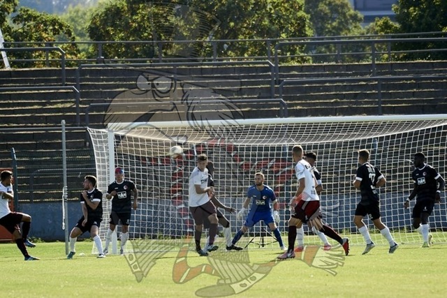 BFC Dynamo vs. Berliner AK 07 069 | mythos-online-redaktion