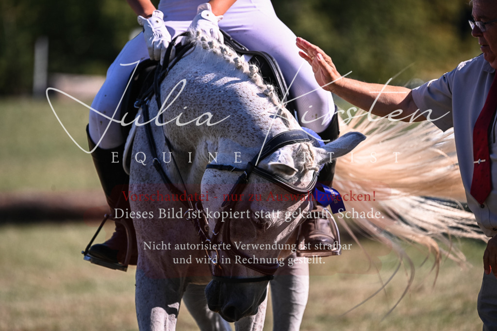 DSC_7126 | Pferde- und Turnierfotografie in Westsachsen. Pferdeportraits, Auftragszeichnungen und intuitive Kunst.