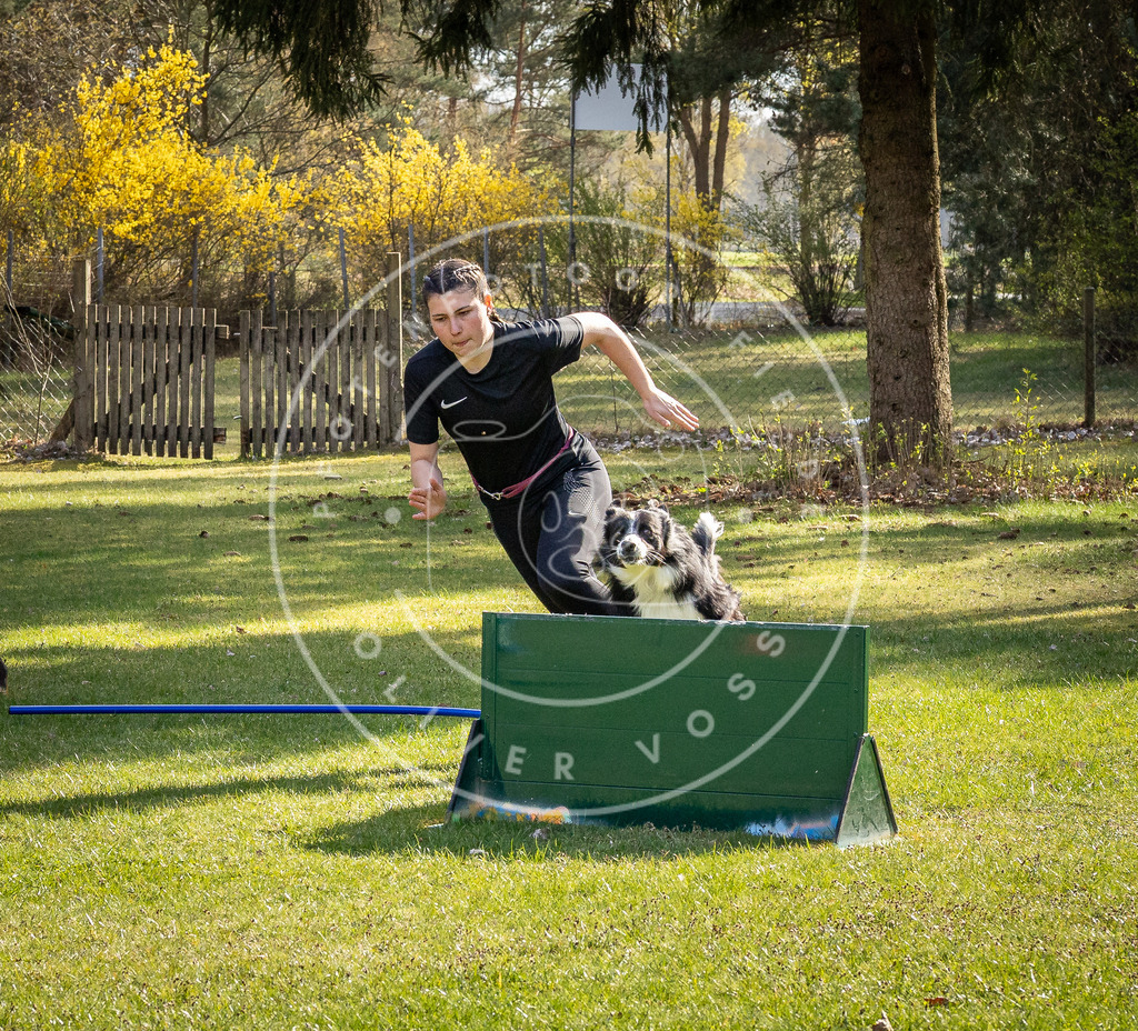 Pfotenfotografie_DV3A2605 | Hundefotografie, Tierfotograf, Pfotenfotografie, Fotoshooting Hund, Hunde Portrait, Hundesport, Hundeportraits, Heideshooting, Hunde, Sportfotograf, Hundefotograf, Turnierhundsport, THS,  - Realisiert mit Pictrs.com