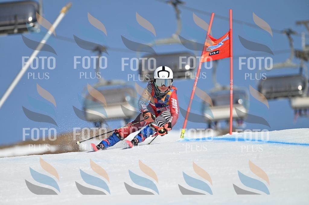 BGV_7864 | holidayphoto