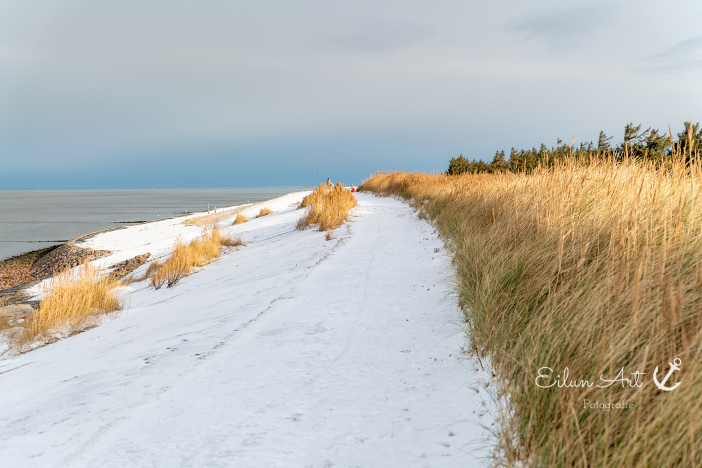 20260103-EAF_8123-2 | Eilun-Art-Fotografie Levke Martens, ihre Fotografin für Immobilien- und Landschaftsfotografie auf Föhr, Föhrer Motive als Poster, Leinwand, hinter Acrylglas oder stelle dir deinen eigenen Monatskalender zusammen, mit nur einem Klick