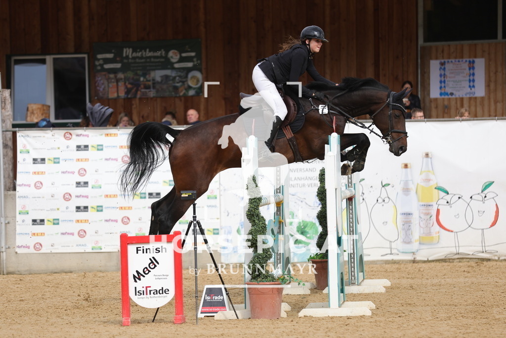 0P6A6810 | Willkommen bei Brunnmayr - Design & Fotografie – Ihrem Spezialisten für Reitturniere und Pferdeveranstaltungen in Oberösterreich, Salzburg und Bayern! Seit über 17 Jahren sind wir leidenschaftlich dabei.