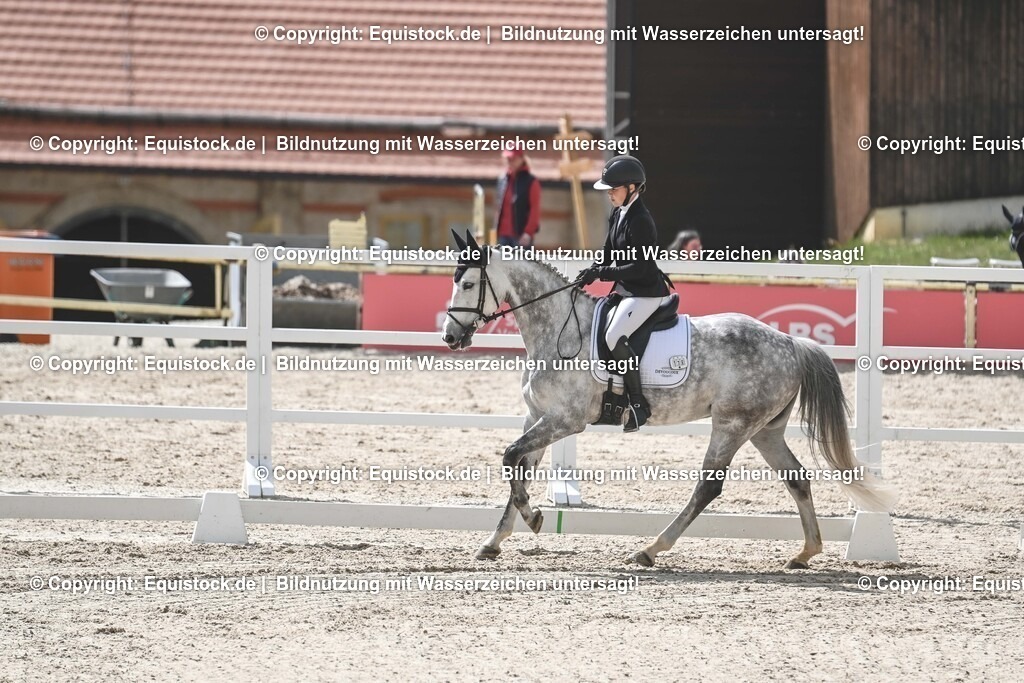 20250516_CCI2_Dressur_0521 | Foto: Thomas Hartig