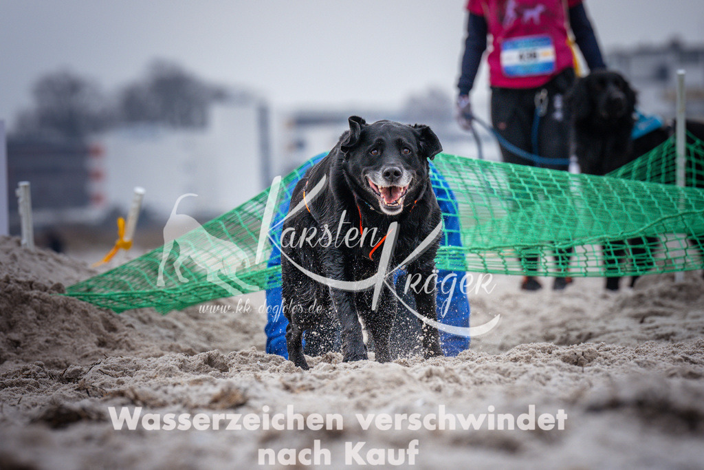 1217_ZZ93187 | kk-dogfotos