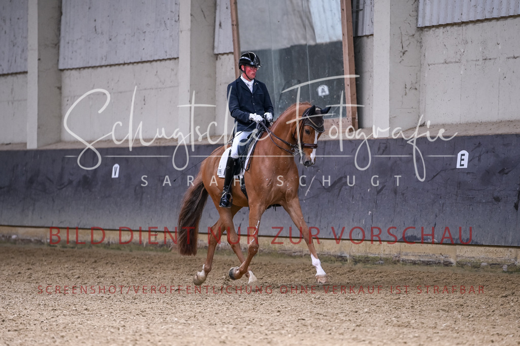 Schugtsche-Aluta25-57.Dressurprf.M1Kand-20 | Schugtsche Fotografie - Realized with Pictrs.com