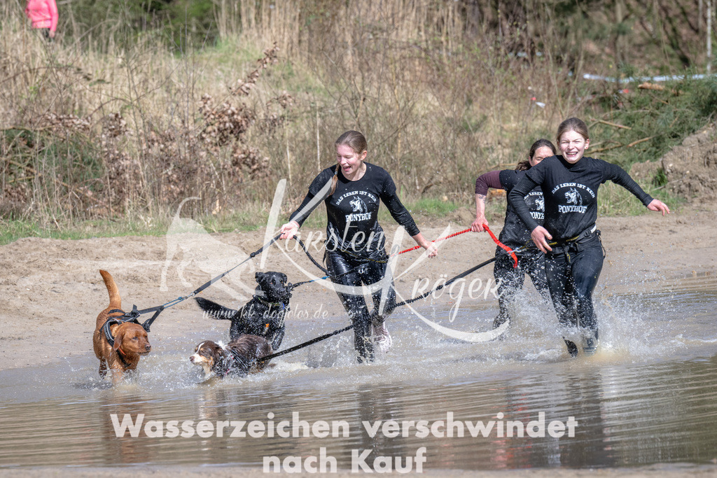 1033_ZZ90624 | kk-dogfotos
