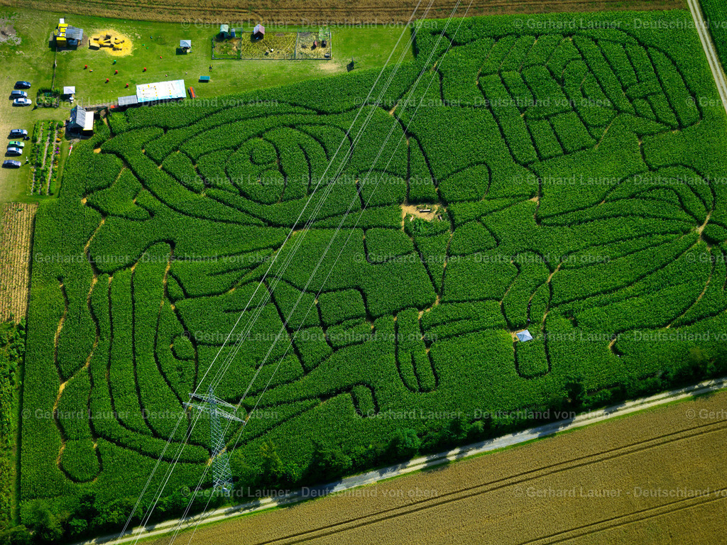 2819383 | Maislabyrinth bei Rexingen