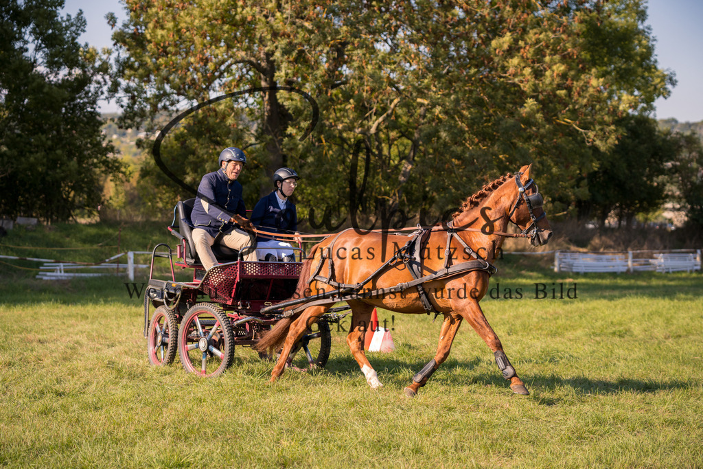 A7V04548 | Pferdefotograf