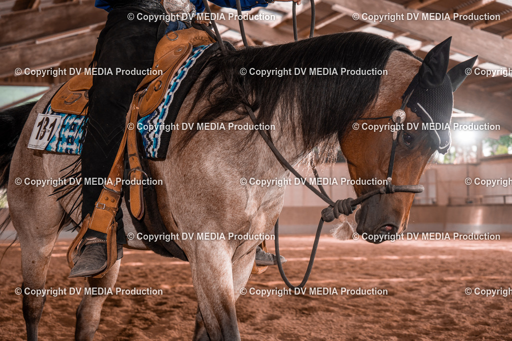 NE100448 | dv-media-shop - Realisiert mit Pictrs.com